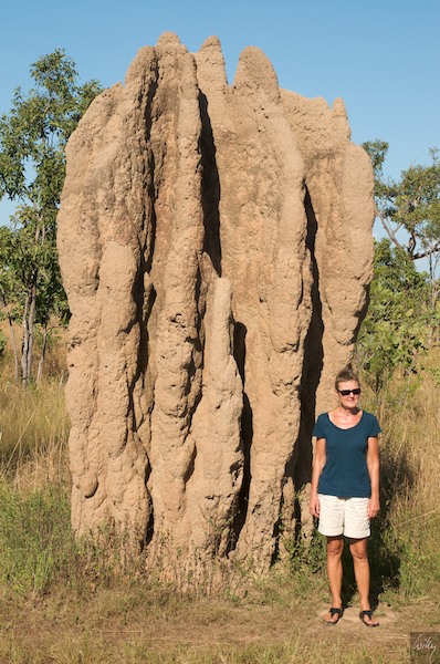 AustraliaAdelaide 10  046